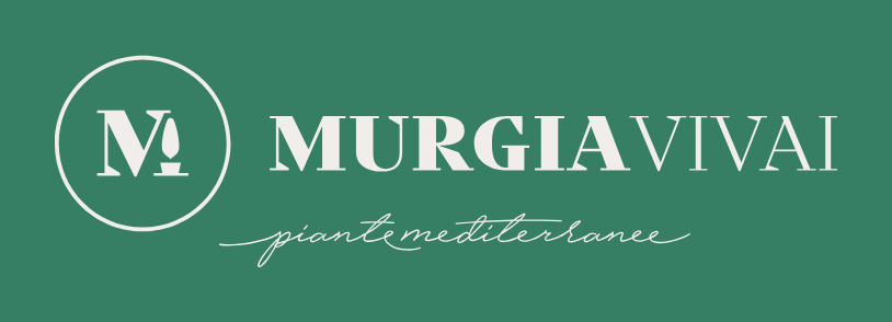 murgiavivai